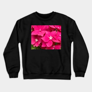 Perfection of the Pink Hydrangea Crewneck Sweatshirt